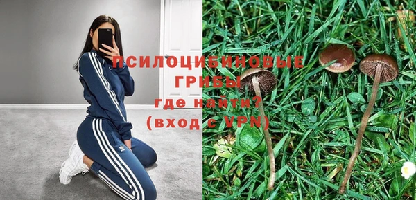 мескалин Белокуриха
