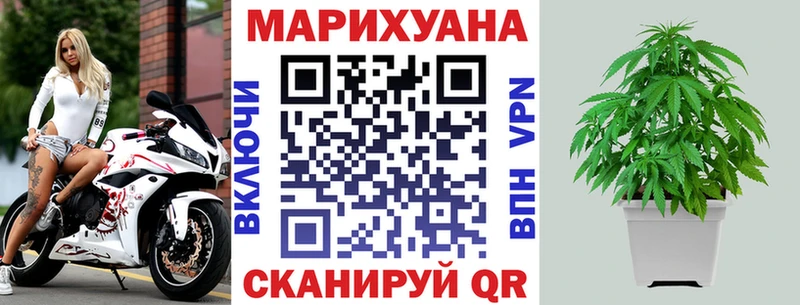 Конопля план  купить наркотики сайты  Красный Кут 